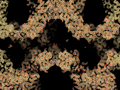 使用冷冻电子显微镜, 研究人员获得了链状罐基酶结构的详细图(以橙色显示).