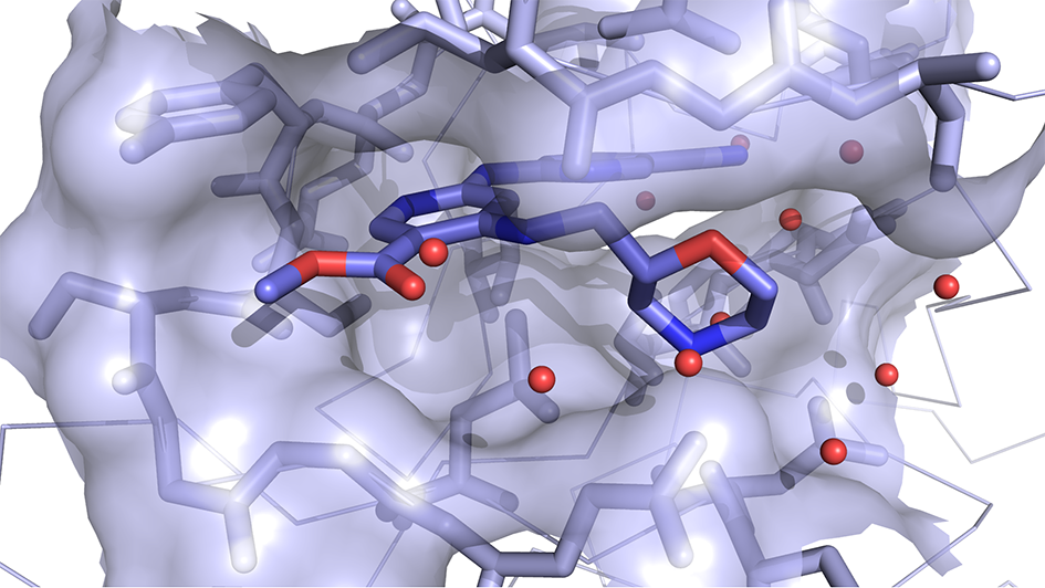 3D computer model of drug interacting with protein