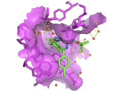 3D computer model showing protein-drug interaction