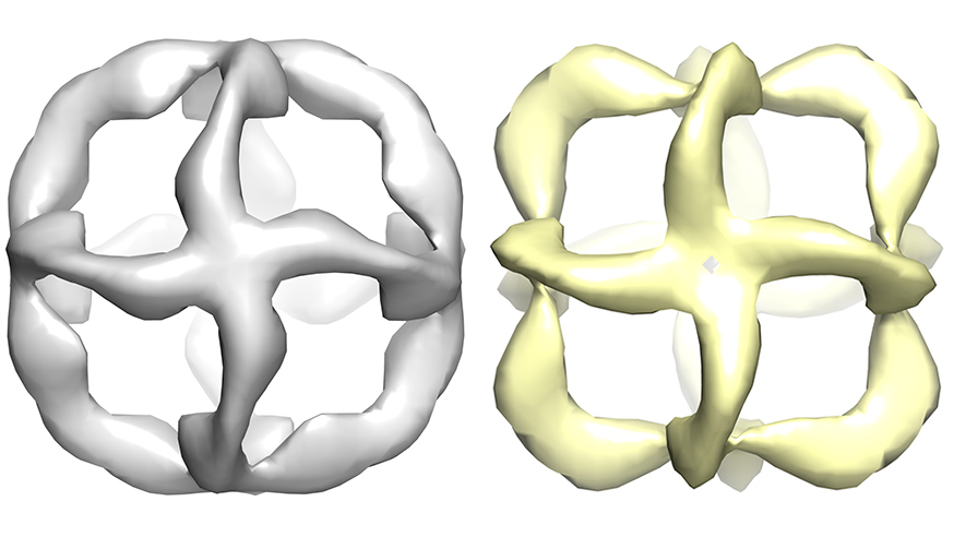 A 3D model from electron microscopy data of an octahedral nanostructure composed entirely of artificial XNA polymers (image: A.Taylor, F. Beuron, S-Y. Peak-Chew, E.P. Morris, P. Herdewijn, P. Holliger)