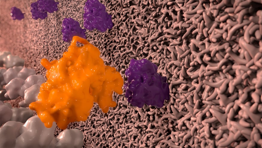 Inside the cancer cell is the protein product of a mutated KRAS gene (seen here in purple).
