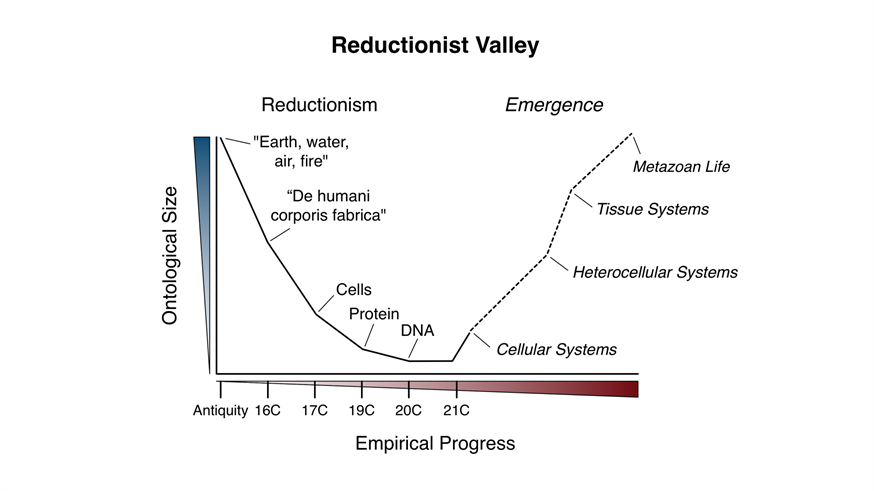 Chart illustrating the concept of the Reductionist Valley