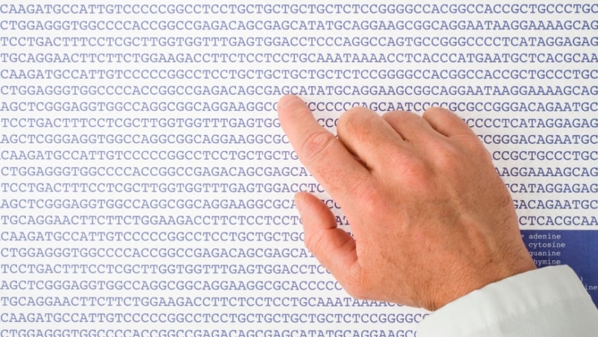 Scientist reviewing the letters of a DNA sequence