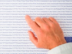 Scientist reviewing a DNA stream. (photo: iStock.com/Claude Dagenais)