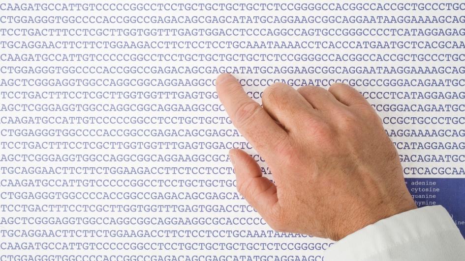 A scientist reviews a DNA stream in print