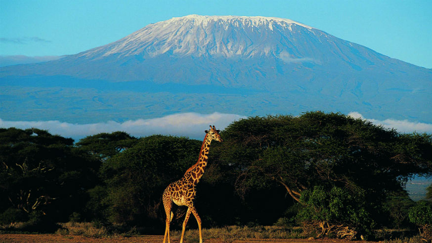 Kilimanjaro event page