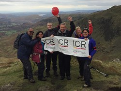 ICR fundraisers take part in Climb of Life 30th year celebrations to raise a new record-breaking total