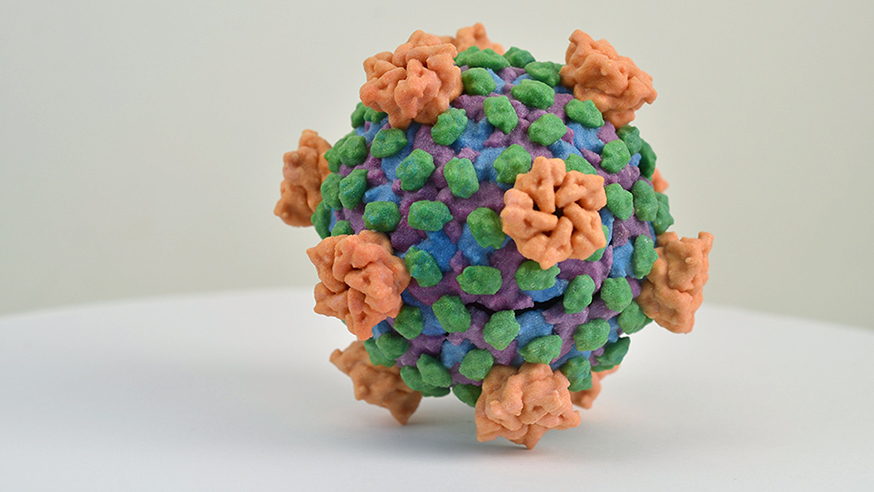 3D print of reovirus. Rotavirus, a type of reovirus, is the major worldwide cause of severe childhood diarrhea.