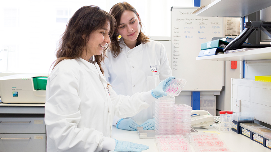 Two female scientists in the lab inspecting cultures