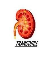 TRANSORCE Logo