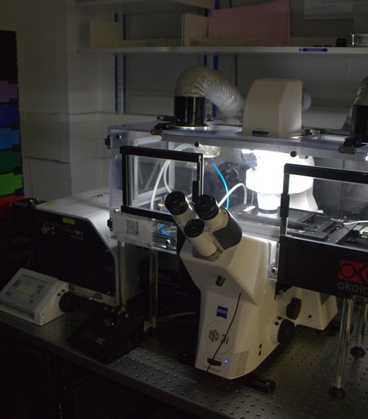 Advanced Spinning Disk Confocal Microscope (Chelsea)