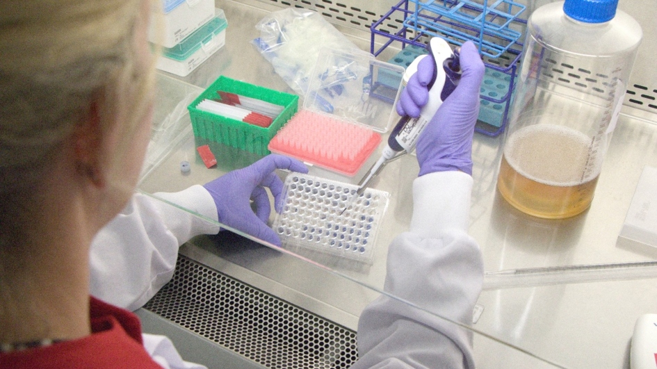 Person pipetting under a biosafety hood