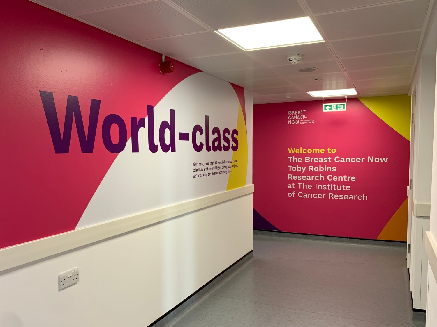 Corridor in the Breast Cancer Now wing, with pink and white painted walls with the word &#39;world-class&#39; in purple