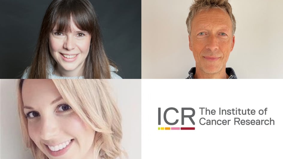 Members of the ICR's Business and Innovation team