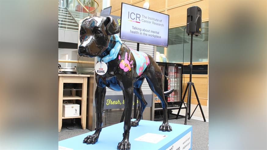 Black Dog at the ICR in Sutton