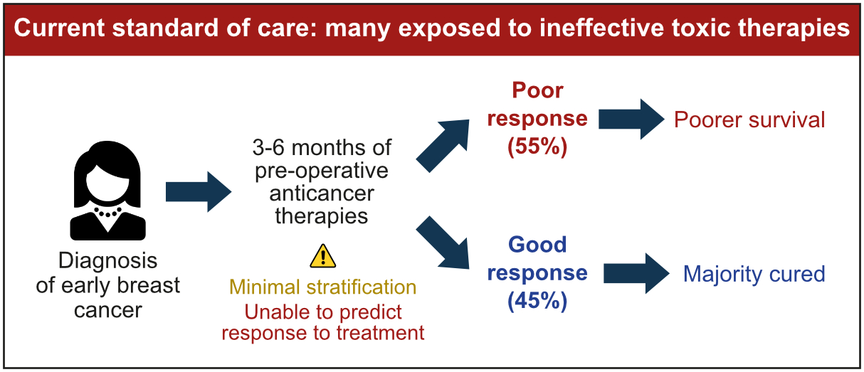 Figure describing the current standard of care for breast cancer patients; many patients are exposed to ineffective toxic therapies