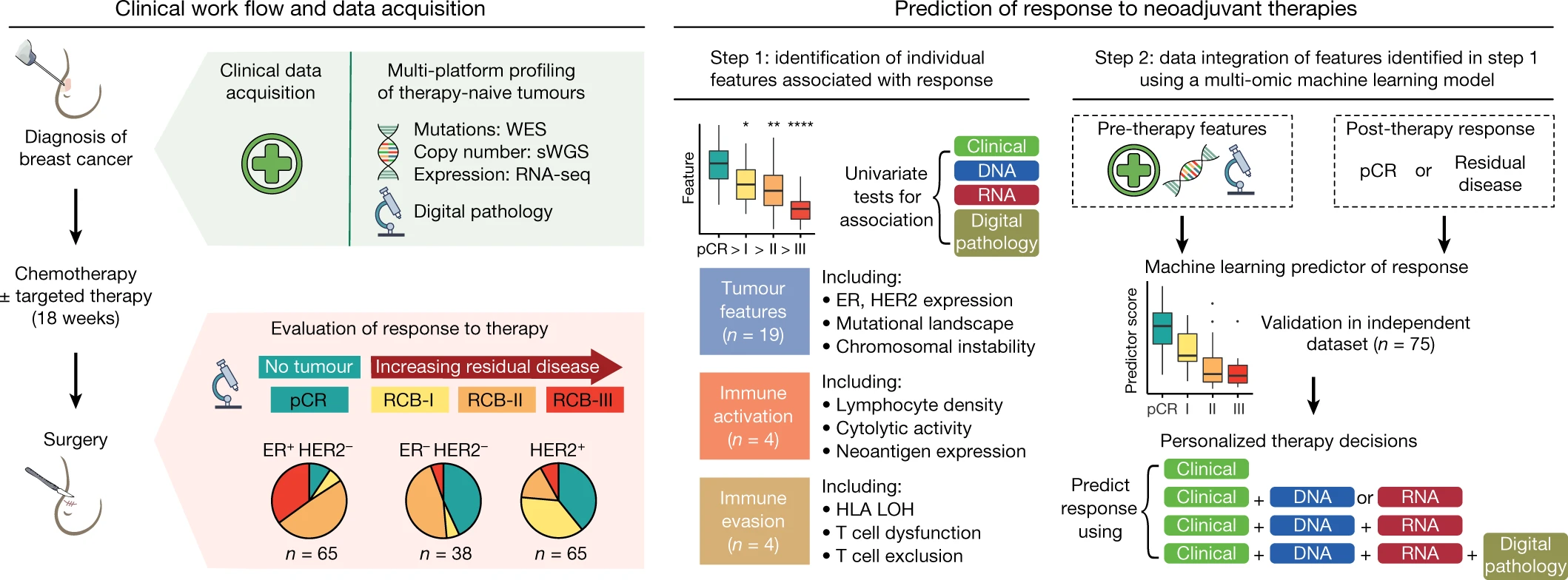 Figure explaining how we could predict the response to therapy using multi-platform profiling of therapy-naïve tumours and machine learning.