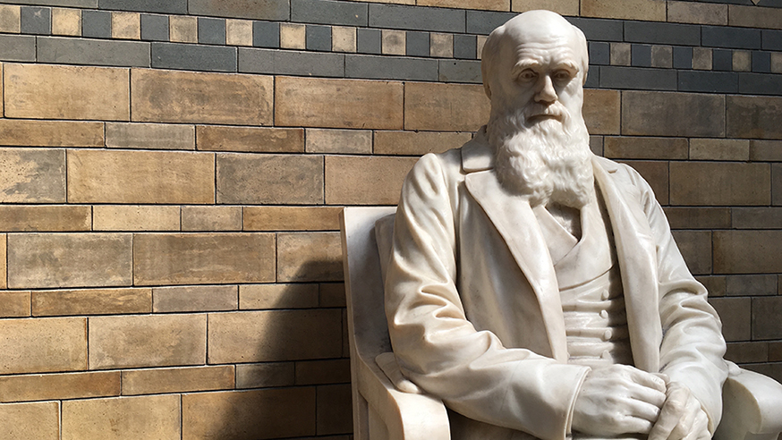 Statue of Charles Darwin at Natural History Museum in London