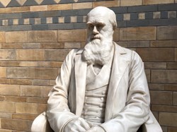 Applying Charles Darwin’s theories to expose cancer’s secrets