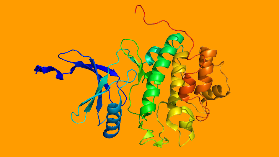 Checkpoint kinase 1 protein structure
