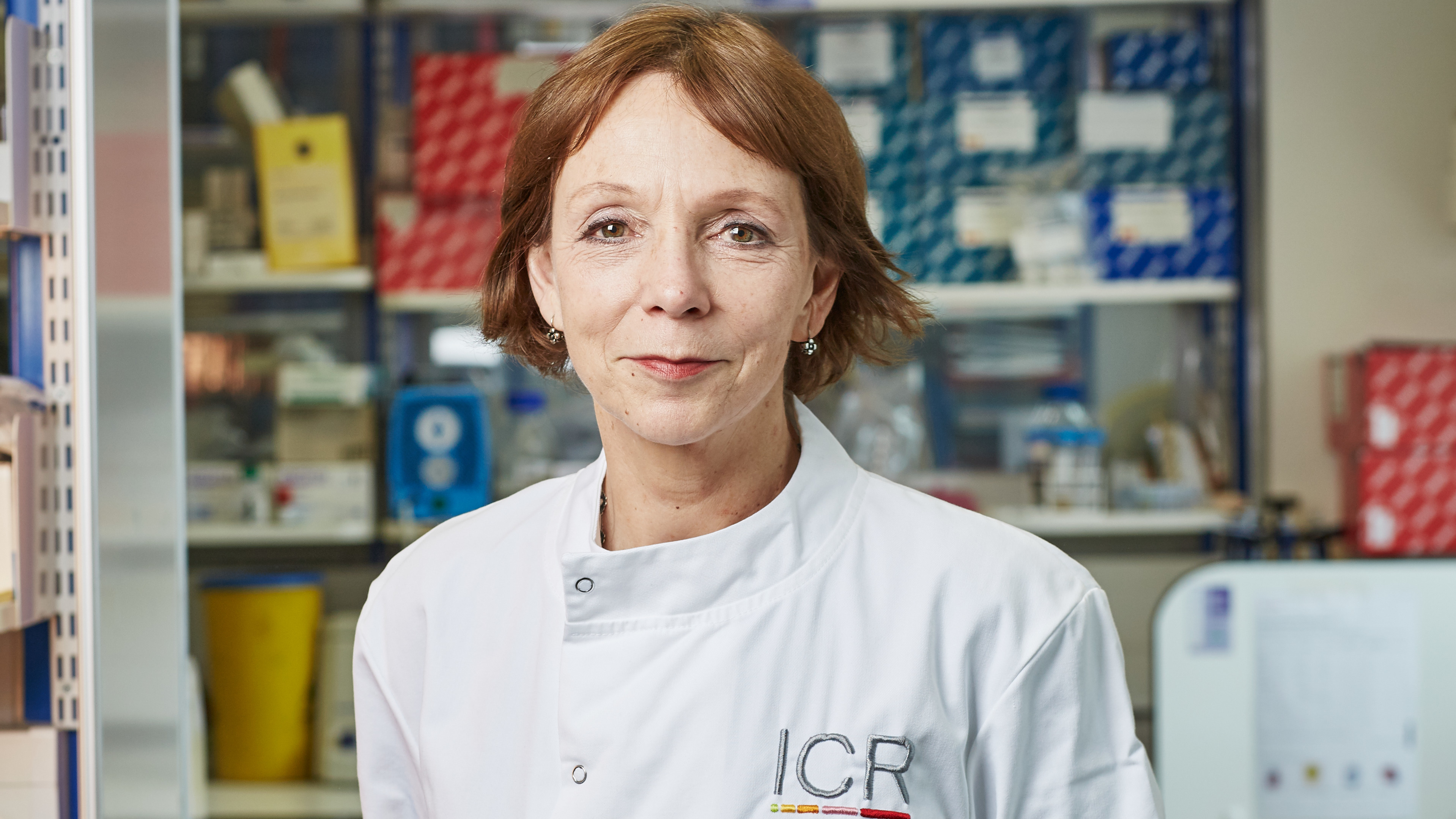 Professor Clare Isacke in the ICR lab