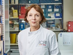Professor Clare Isacke in the ICR lab