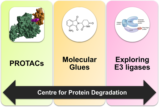 Figure representing the 3 main themes of the Centre for Protein Degradation – PROTACs, molecular glues and exploring E3 ligases