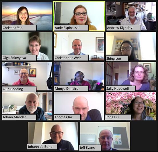 Screenshot of an online Zoom call with the whole DF CONSORT team
