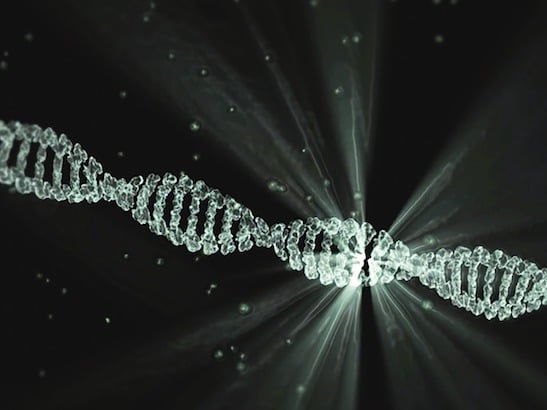 Caption for: How the Human Genome Project shook the world of cancer research