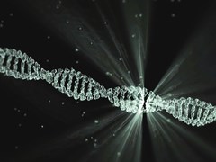 DNA double helix - computer visualisation
