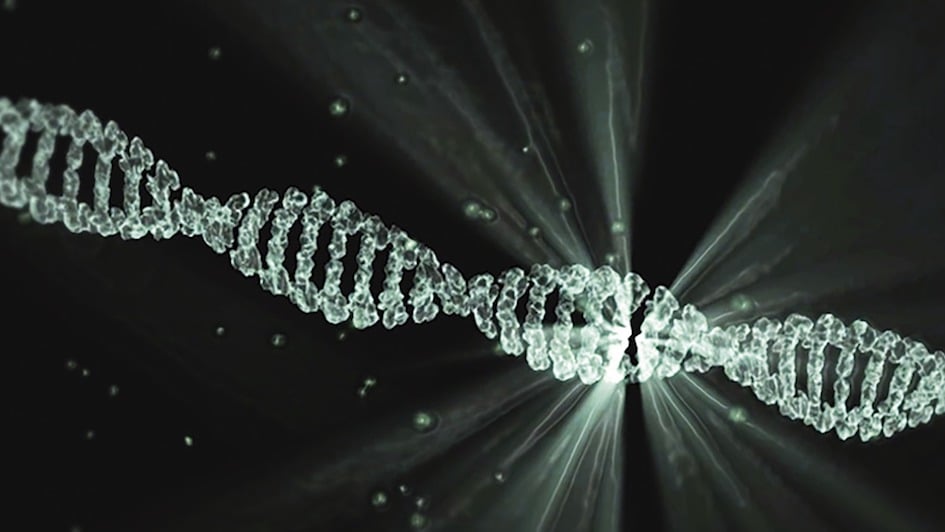 DNA double helix - computer visualisation