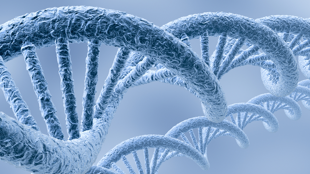 Computer generated image of DNA molecule