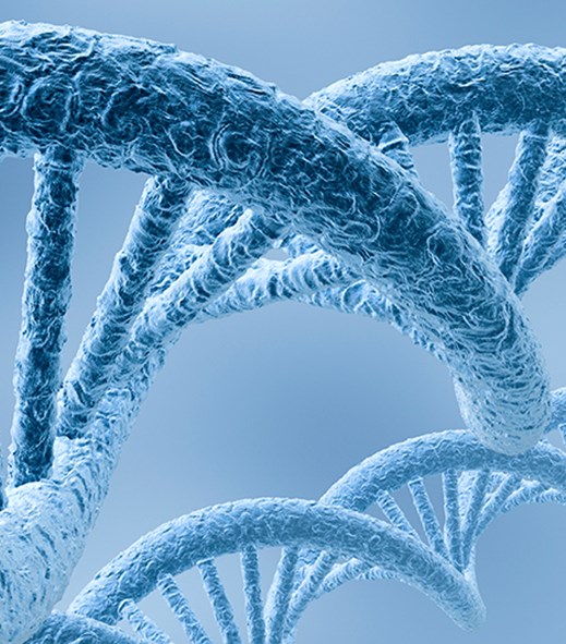 Cancer-preventing role found for DNA ‘cable tie’