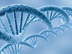 ‘Junk’ DNA could lead to cancer by stopping copying of DNA