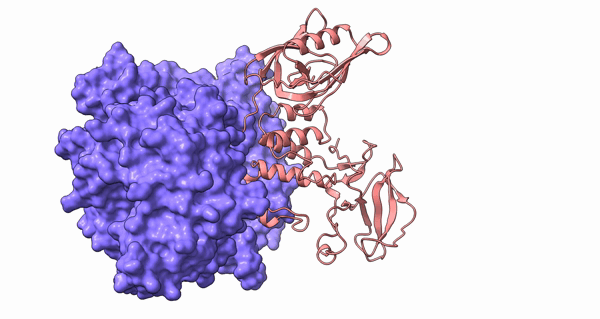 3D visualisation of a protein