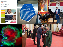 Buckingham Palace and Blue Plaques: ICR’s 2018 year in review