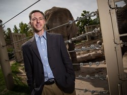Why elephants rarely get cancer – how evolution is helping unlock nature’s potential to overcome cancer