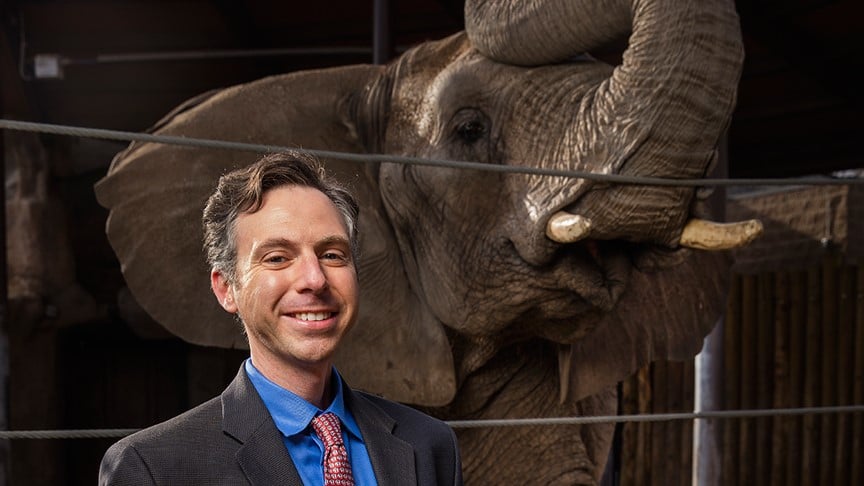 Professor Joshua Schiffman pictured with an elephant