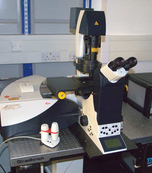 Leica SP8 Point Scanning Confocal Microscope (Chelsea)
