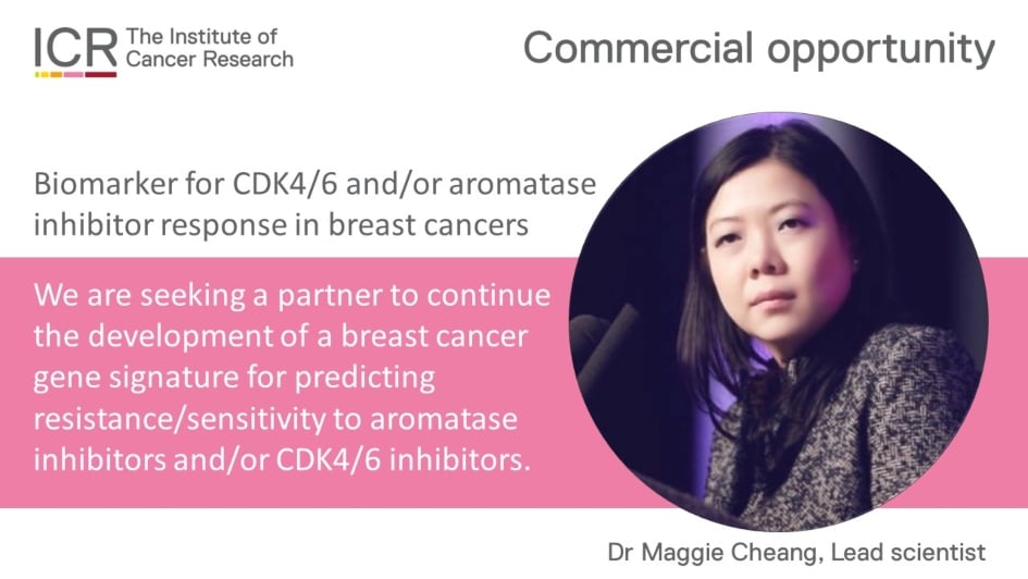 Photo of Dr Maggie Cheang, alongside the following text: "Commercial opportunity. Biomarker for CDK4/6 and/or aromatase inhibitor response in breast cancers."