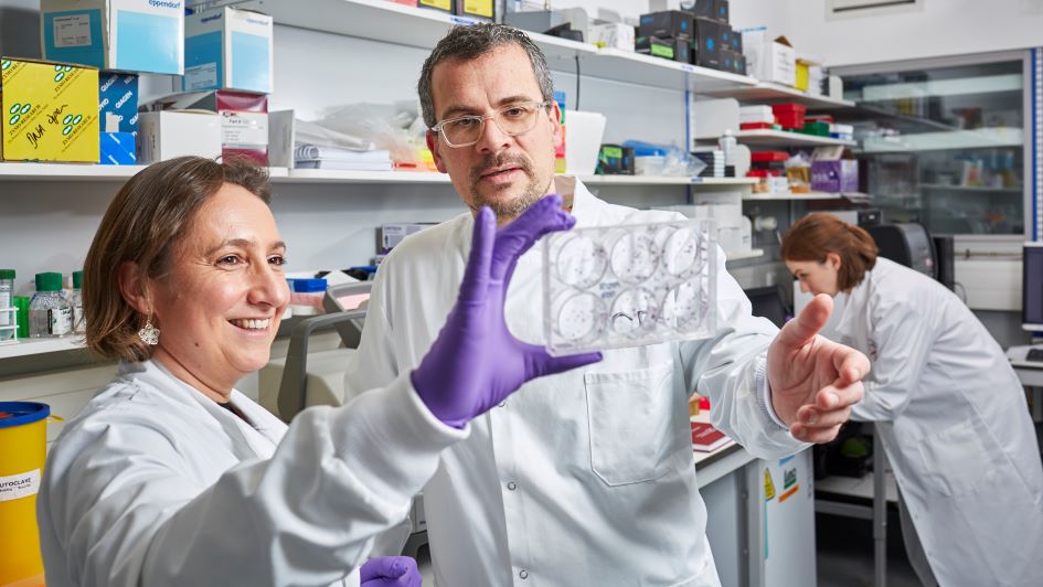 Dr Marco Gerlinger and Dr Louise Barber holding up a cell culture plate in the lab