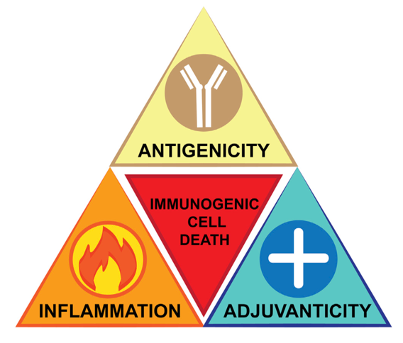 Figure depicting the triforce of immunogenic cell death