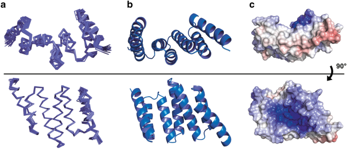 NMR structures of the Hop TPR2A domain