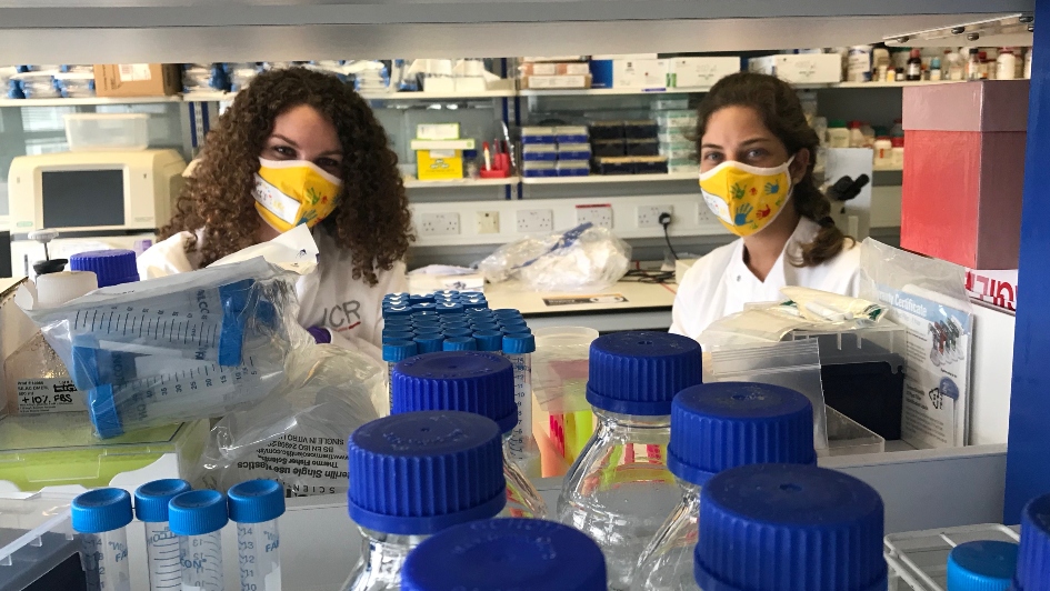Researchers wearing facemasks in ICR labs