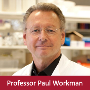 Professor Paul Workman