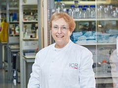 Professor Ros Eeles smiles in her lab wearing an ICR lab coat