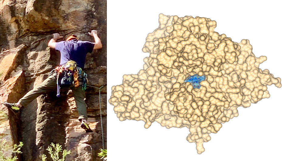 Collage of two images: a person rock climbing and a X-ray co-crystal structure of a drug and its target