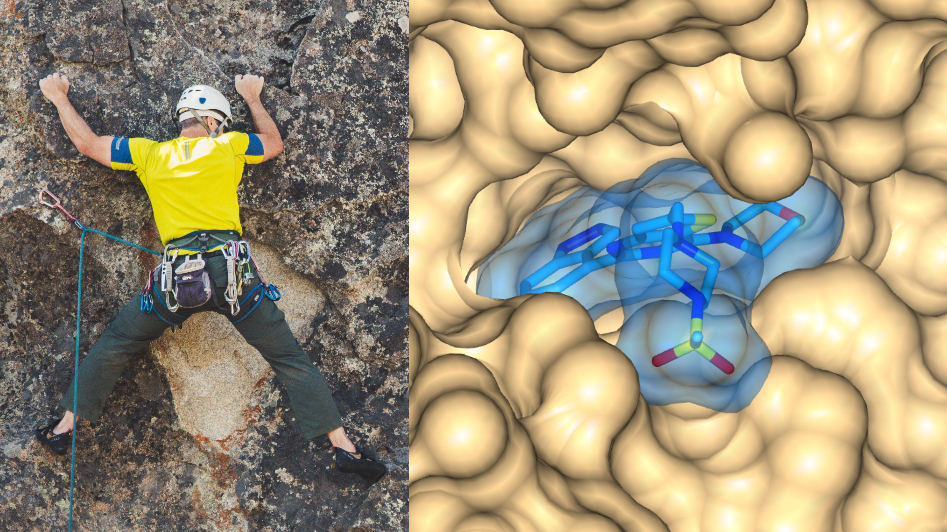 Collage of two images: a person rock climbing and a zoomed in X-ray co-crystal structure of a drug and its target