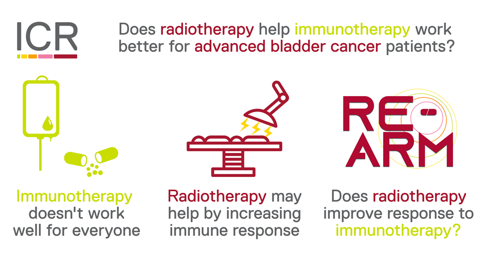 RE-ARM infographic. Does radiotherapy help immunotherapy work better for advanced bladder cancer patients? Immunotherapy doesn't work for everyone. Radiotherapy may help by increasing immune response. Does radiotherapy improve response to immunotherapy?