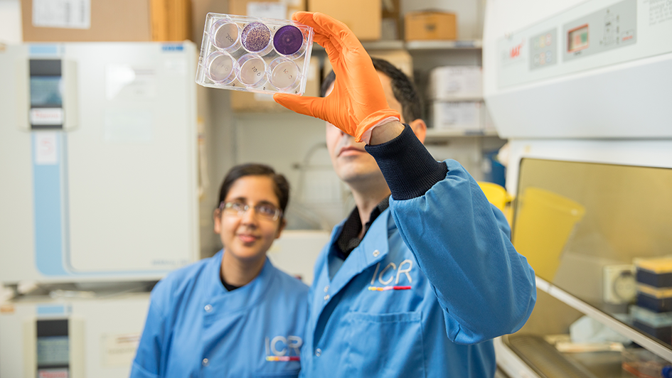 Two ICR researchers in blue lab coats study a well plate.